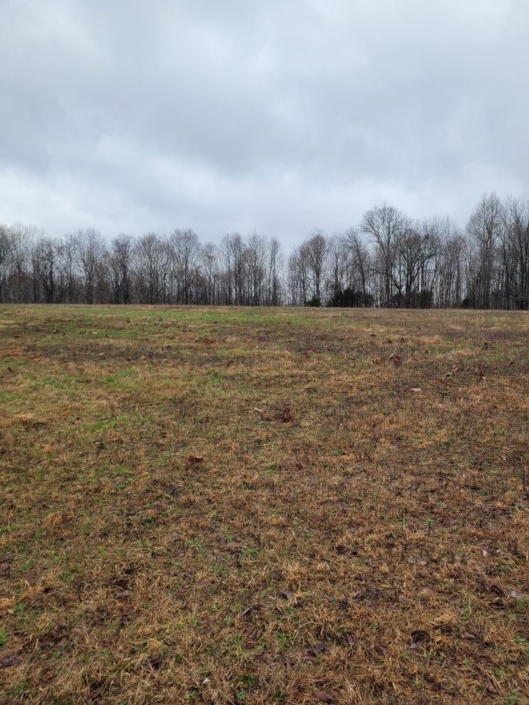 0 Goad Ridge Lane Pleasant Shade, TN 37145 - Photo 4 of 16 a view of a field with trees