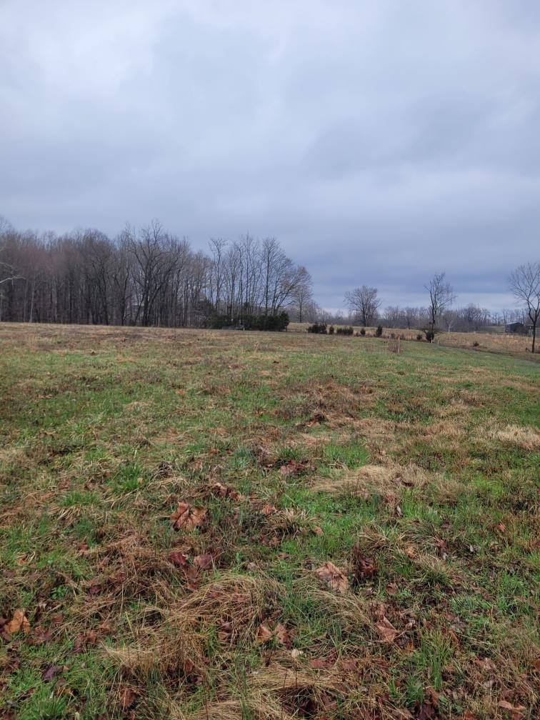 0 Goad Ridge Lane Pleasant Shade, TN 37145 - Photo 5 of 16 a view of a field with an ocean