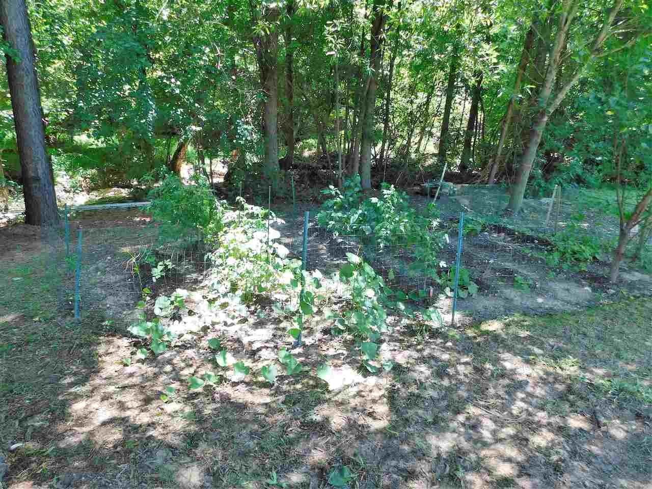 5844 Brambleton Avenue Raleigh, NC 27610 - Photo 7 of 24 Garden