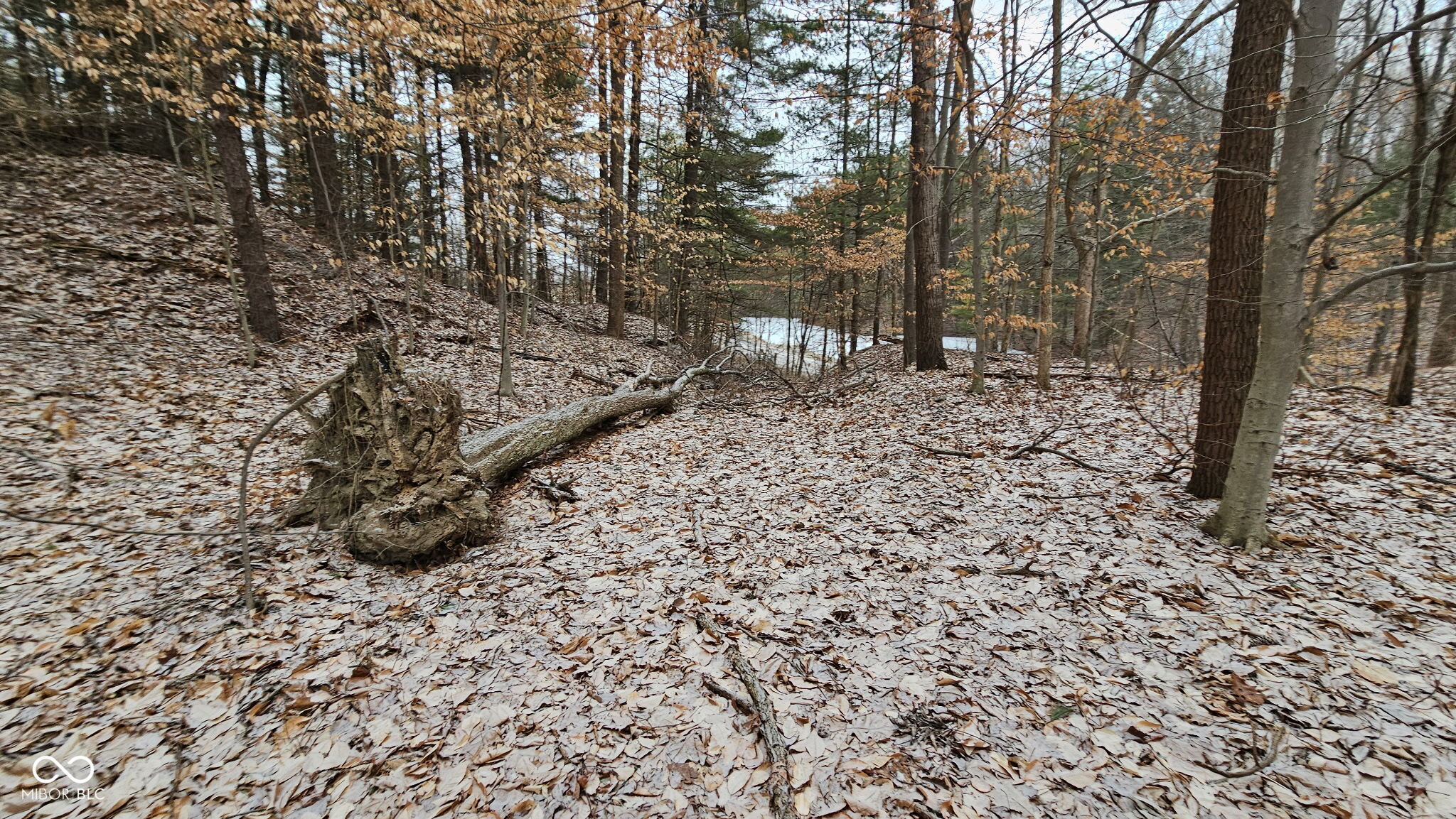0 Mitten Road Bowling Green, IN 47833 - Photo 11 of 18