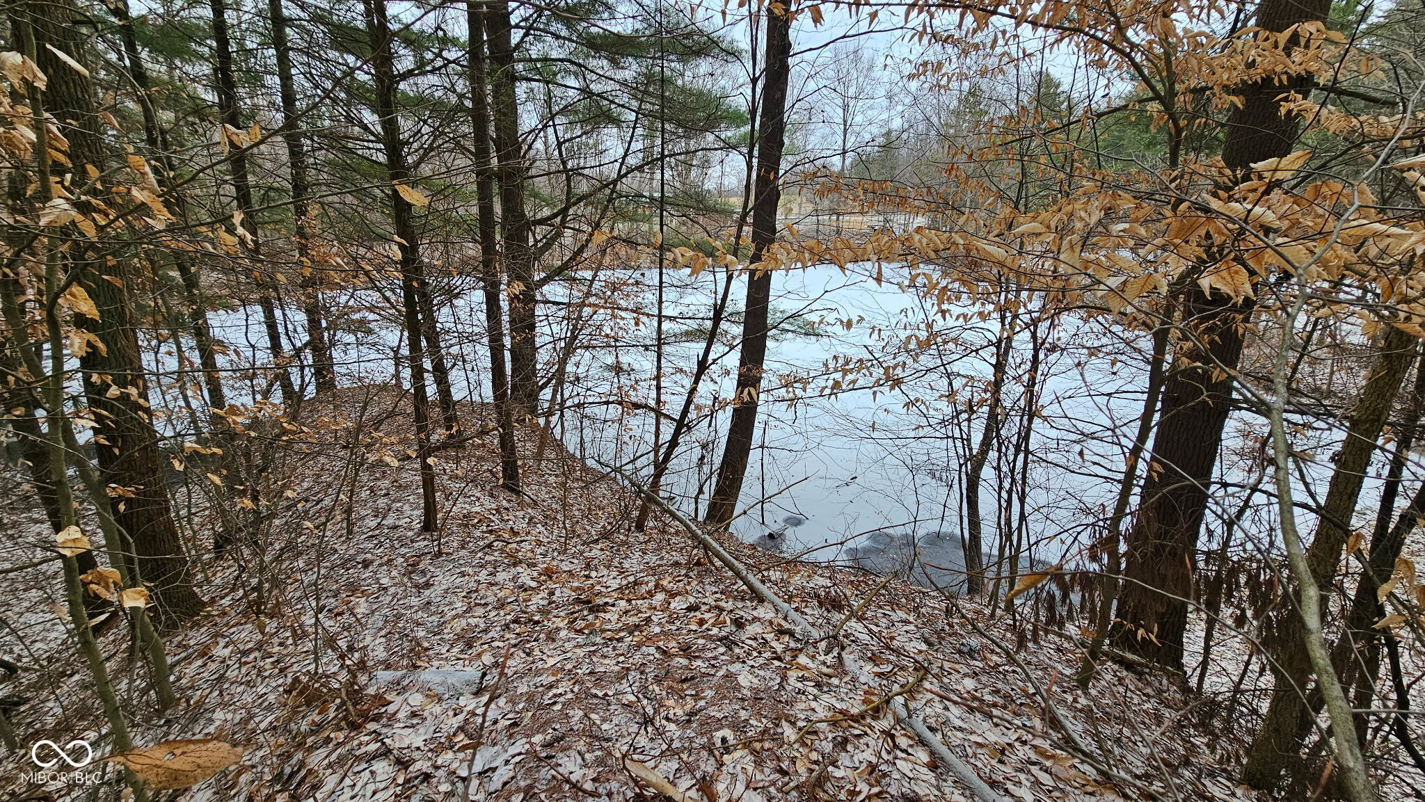 0 Mitten Road Bowling Green, IN 47833 - Photo 12 of 18