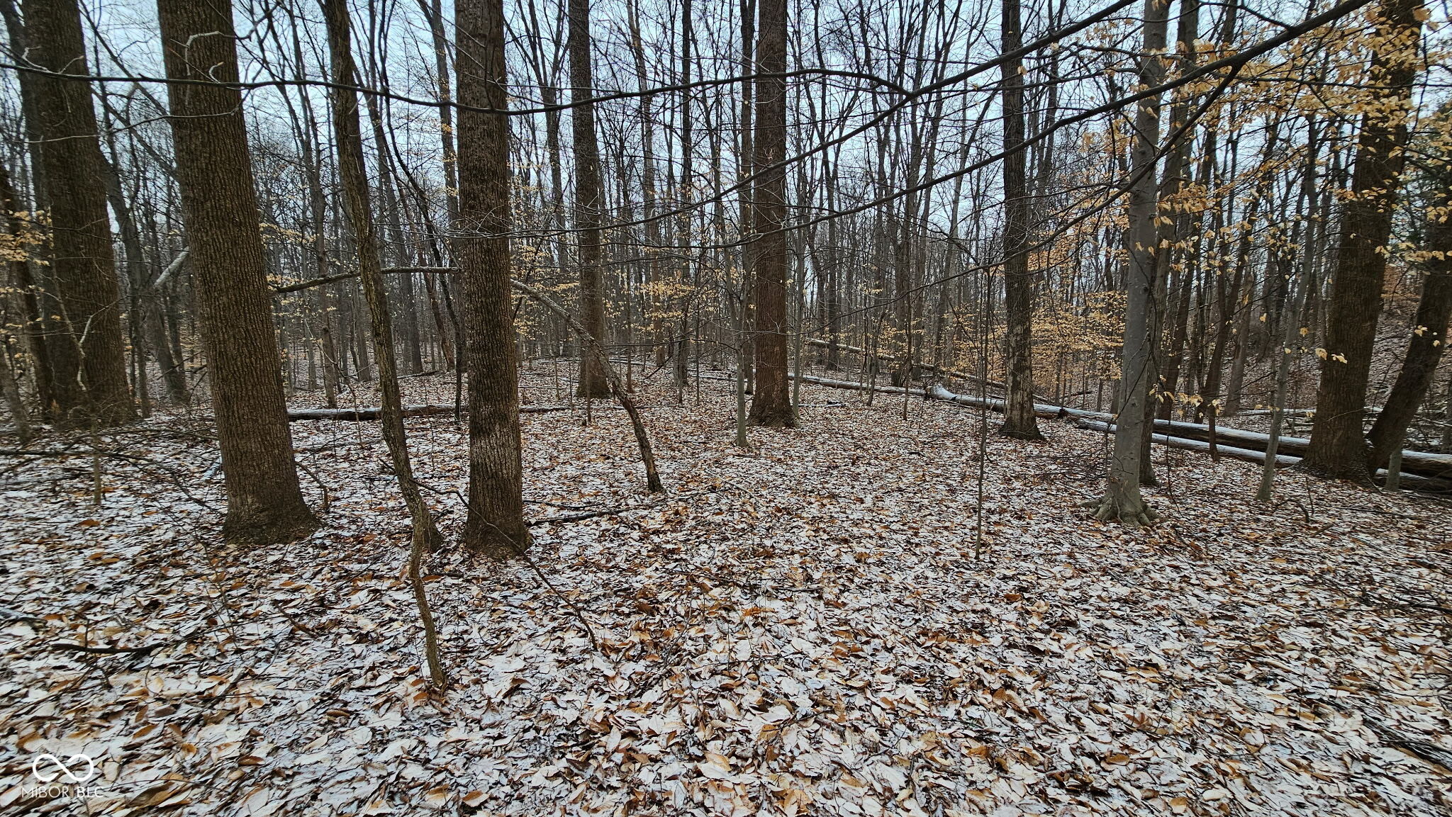 0 Mitten Road Bowling Green, IN 47833 - Photo 16 of 18