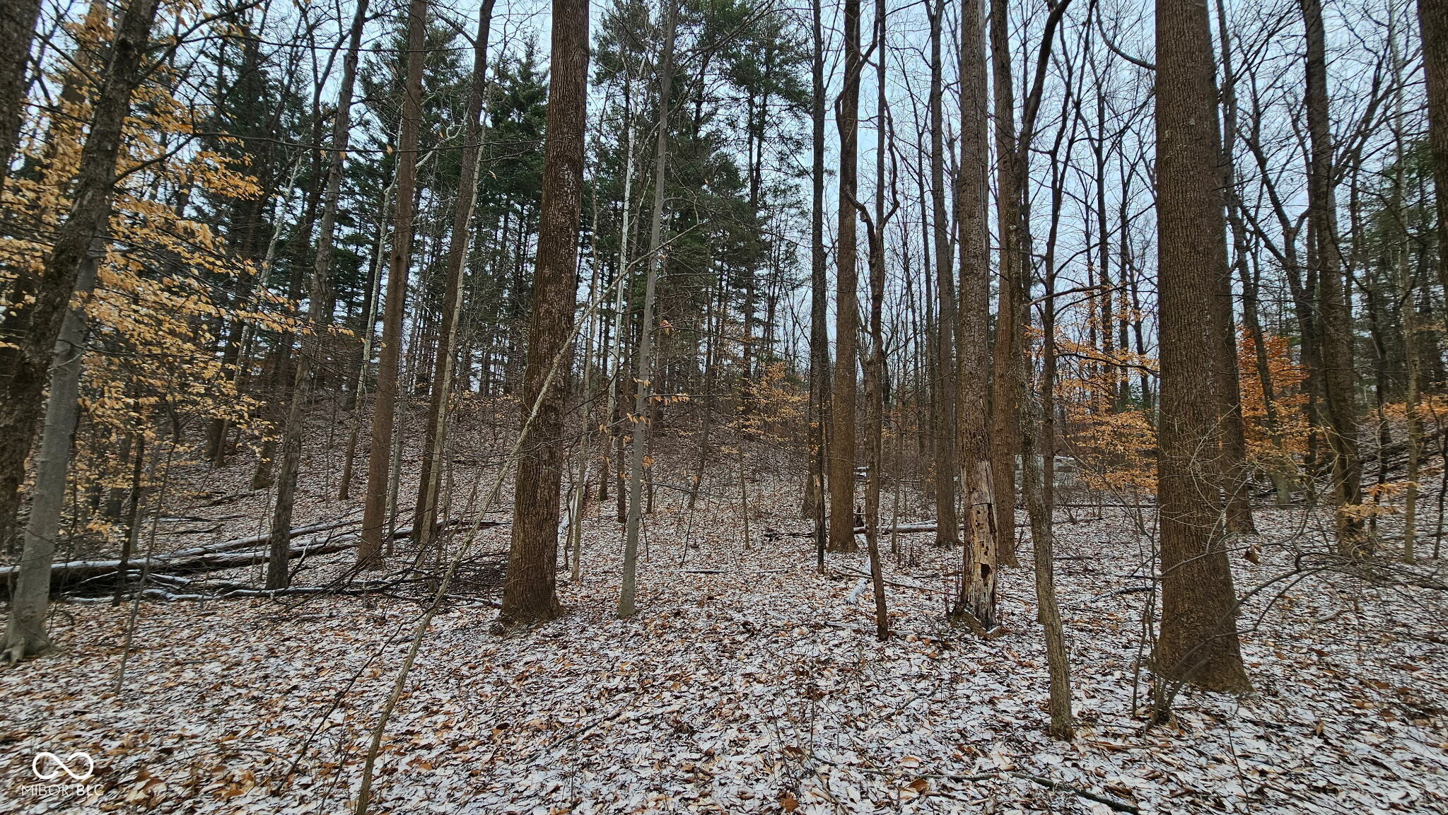 0 Mitten Road Bowling Green, IN 47833 - Photo 17 of 18