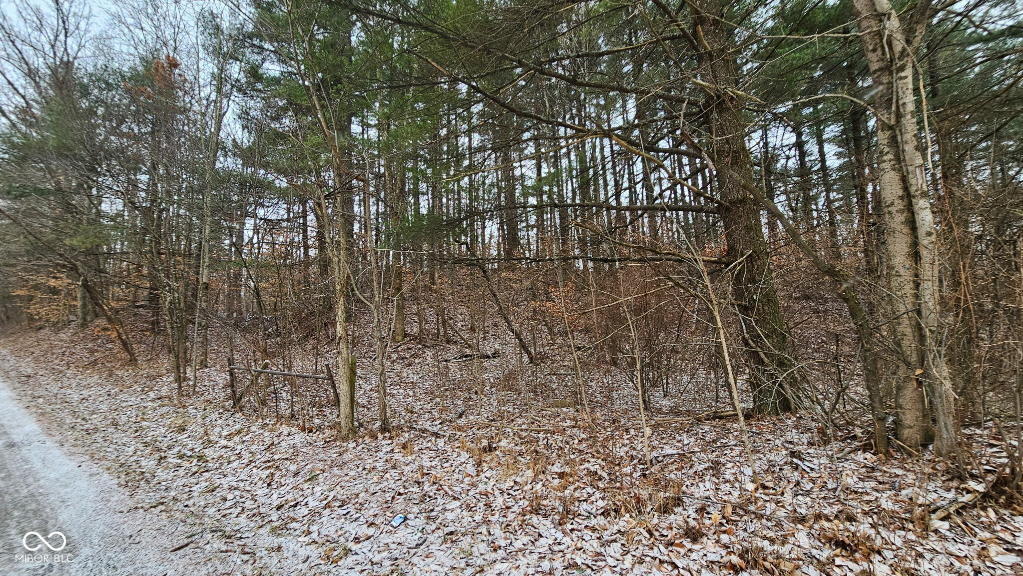 0 Mitten Road Bowling Green, IN 47833 - Photo 5 of 18