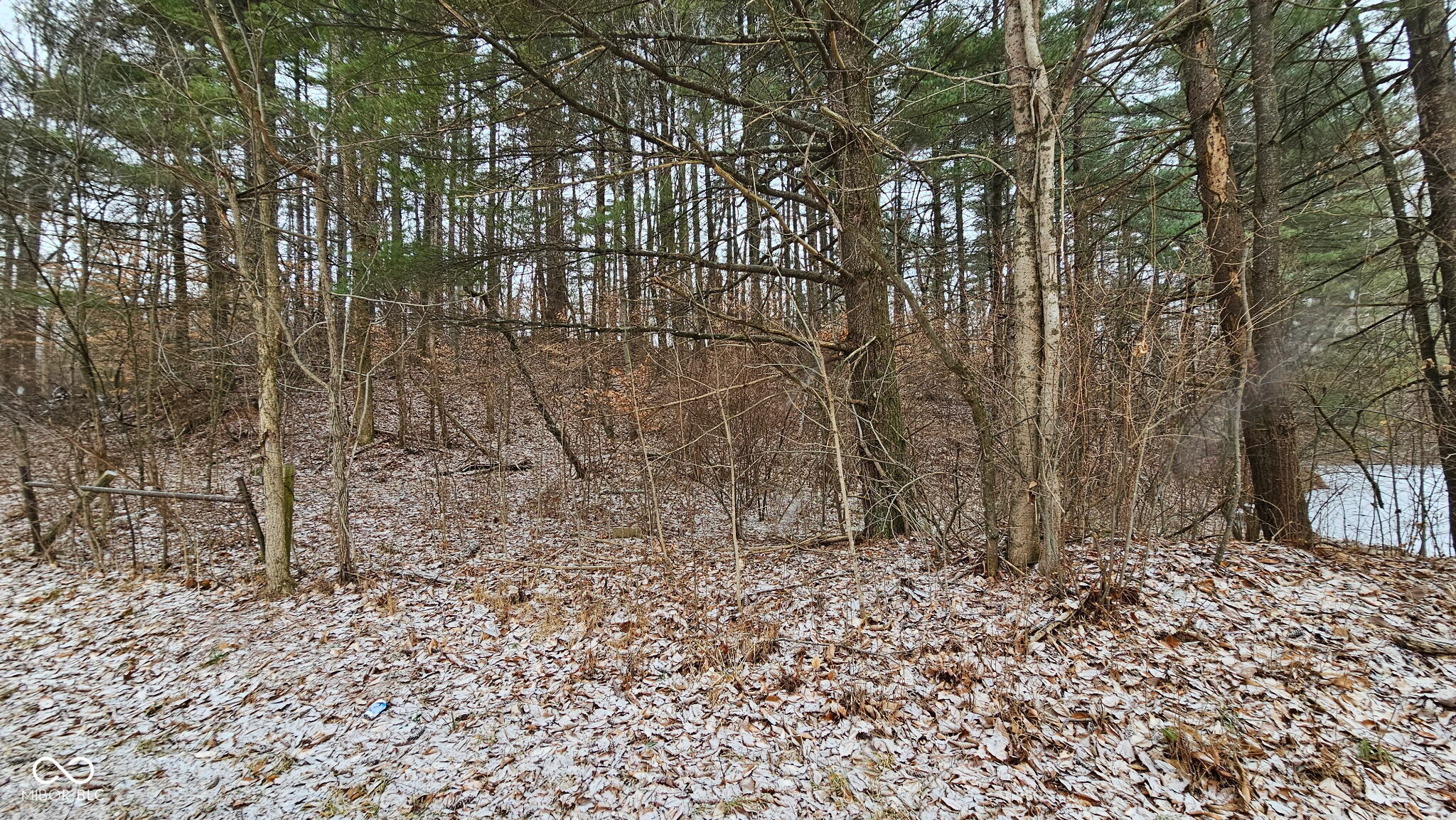 0 Mitten Road Bowling Green, IN 47833 - Photo 6 of 18