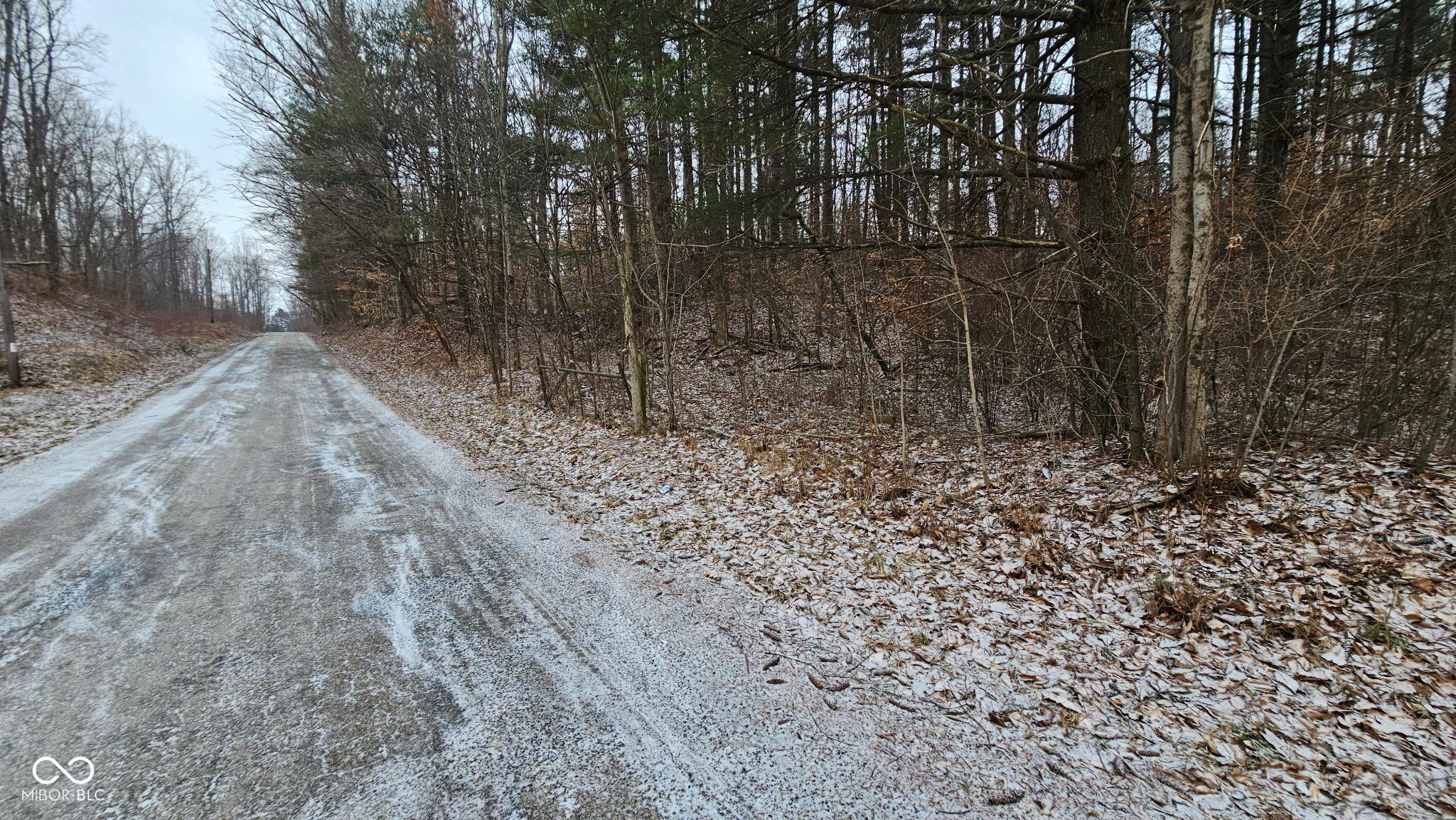 0 Mitten Road Bowling Green, IN 47833 - Photo 7 of 18