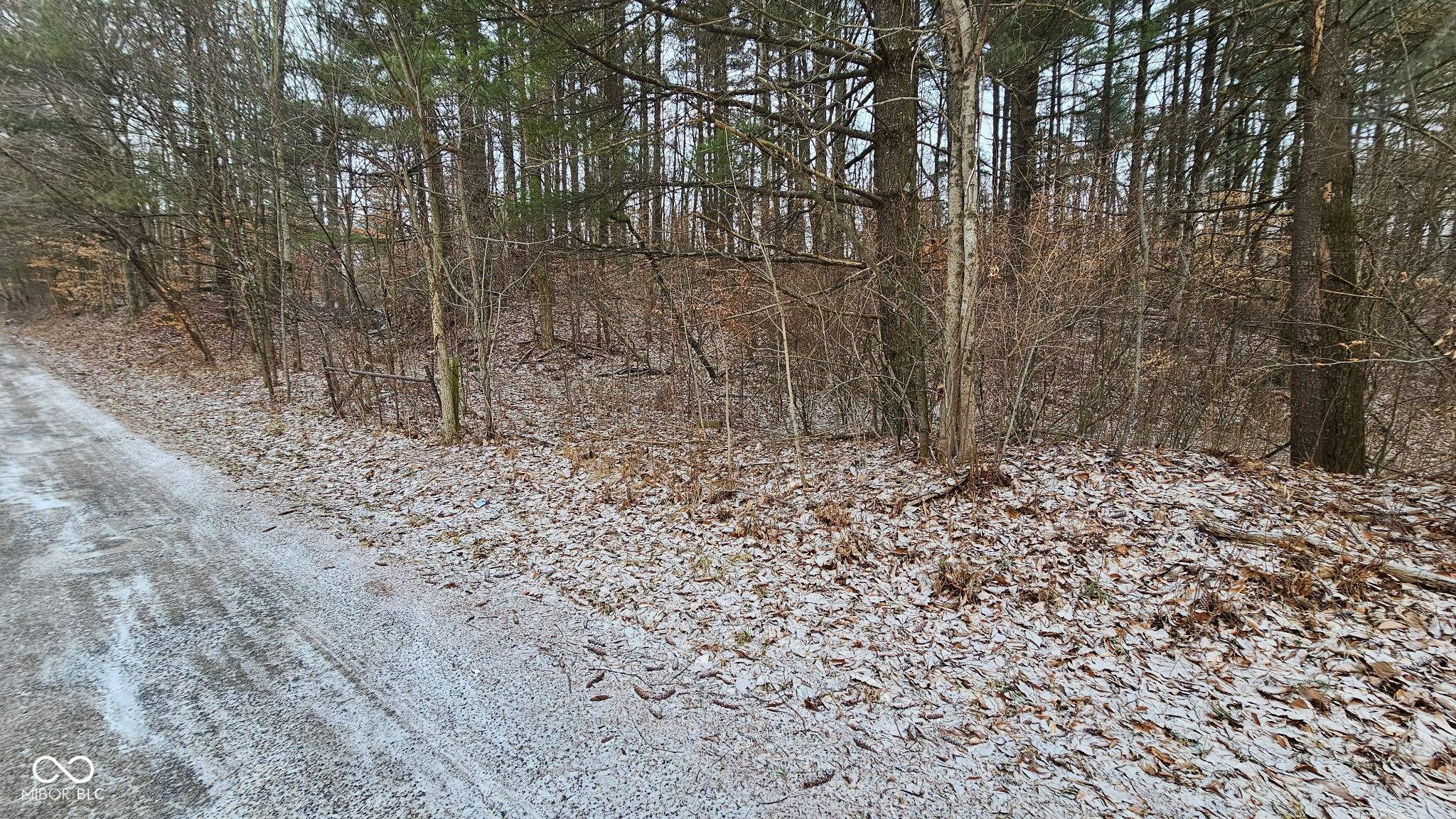 0 Mitten Road Bowling Green, IN 47833 - Photo 8 of 18