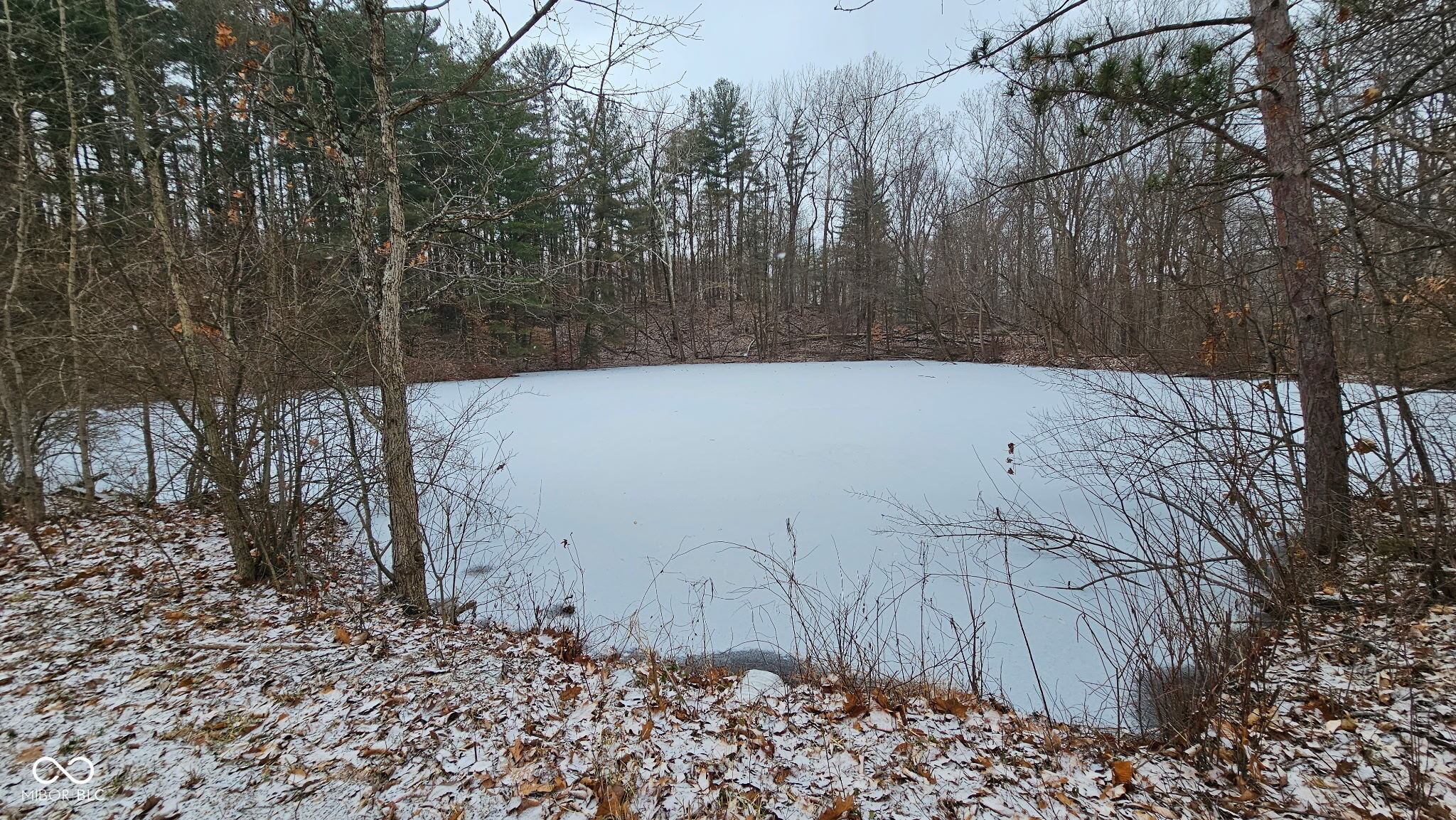 0 Mitten Road Bowling Green, IN 47833 - Photo 9 of 18