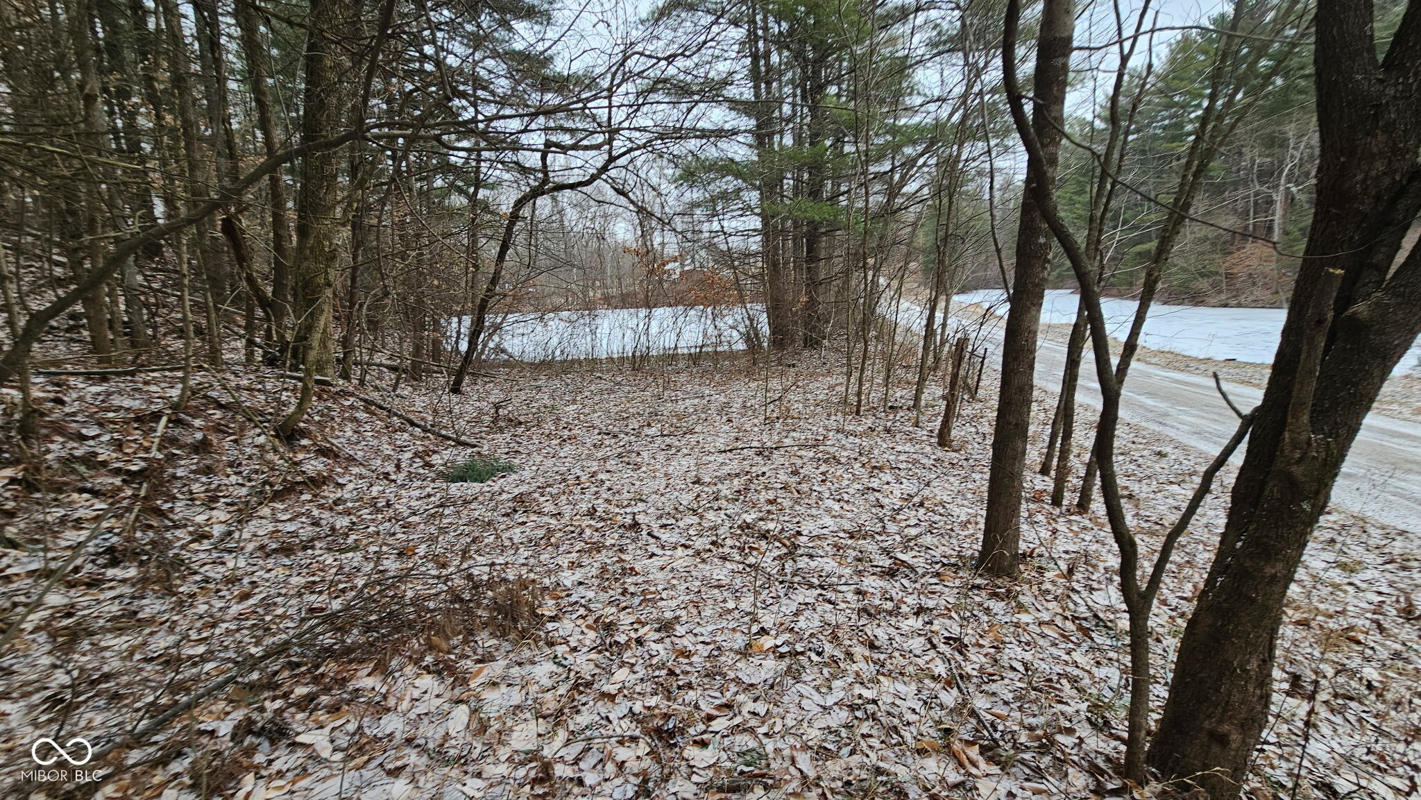 0 Mitten Road Bowling Green, IN 47833 - Photo 10 of 18