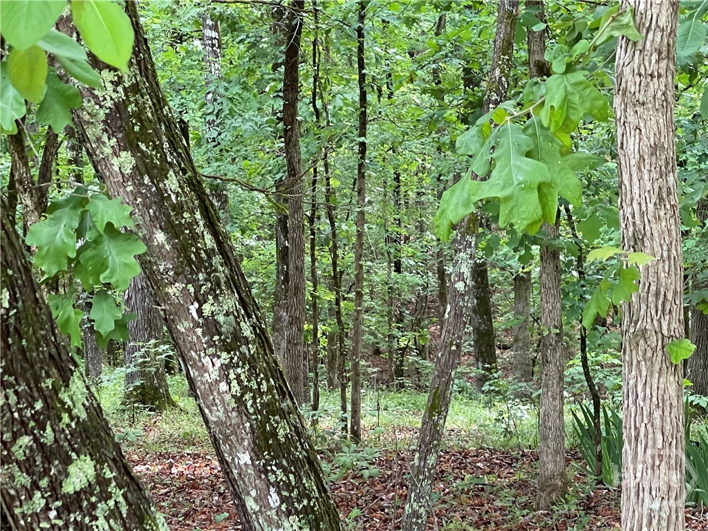 837 Bartram Trace Road Rayle, GA 30660 - Photo 68 of 70 Woods