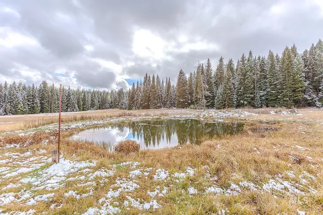 $579,000 | 43406 Black Pine Drive, Winchester, ID 83555