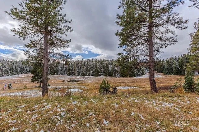 $579,000 | 43406 Black Pine Drive, Winchester, ID 83555