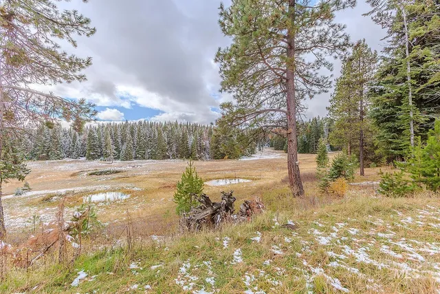 $579,000 | 43406 Black Pine Drive, Winchester, ID 83555