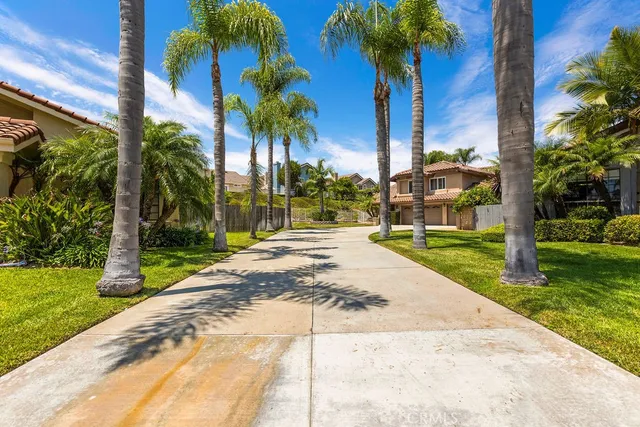 a view of a yard with palm trees