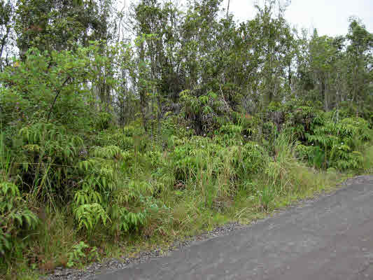 Lot#30 Omega Road Mountain View, HI 96771 - Photo 3 of 5 Gallery Image 3
