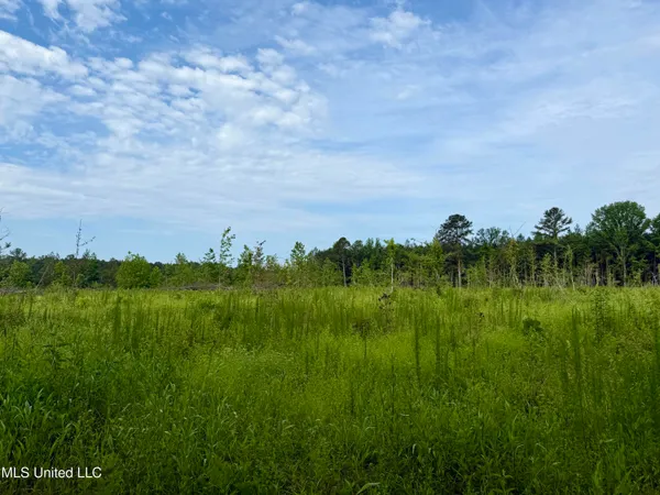 $106,000 | Comfort Road, Kosciusko, MS 39090