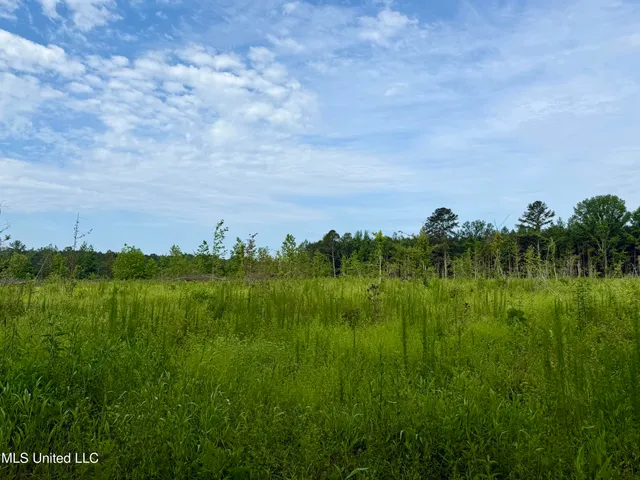 $106,000 | Comfort Road, Kosciusko, MS 39090