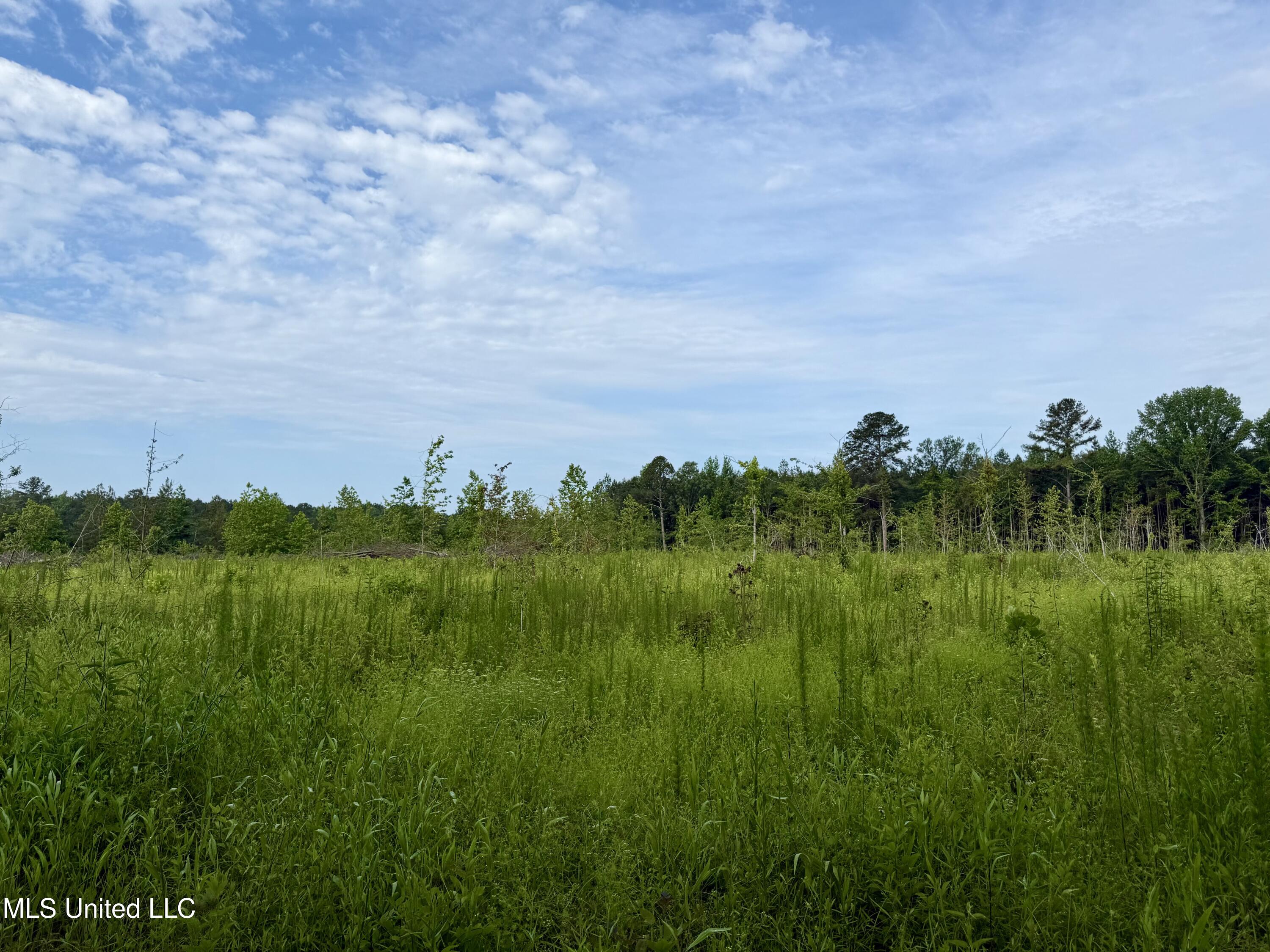 Comfort Road Kosciusko, MS 39090 - Photo 11 of 15 IMG_1034