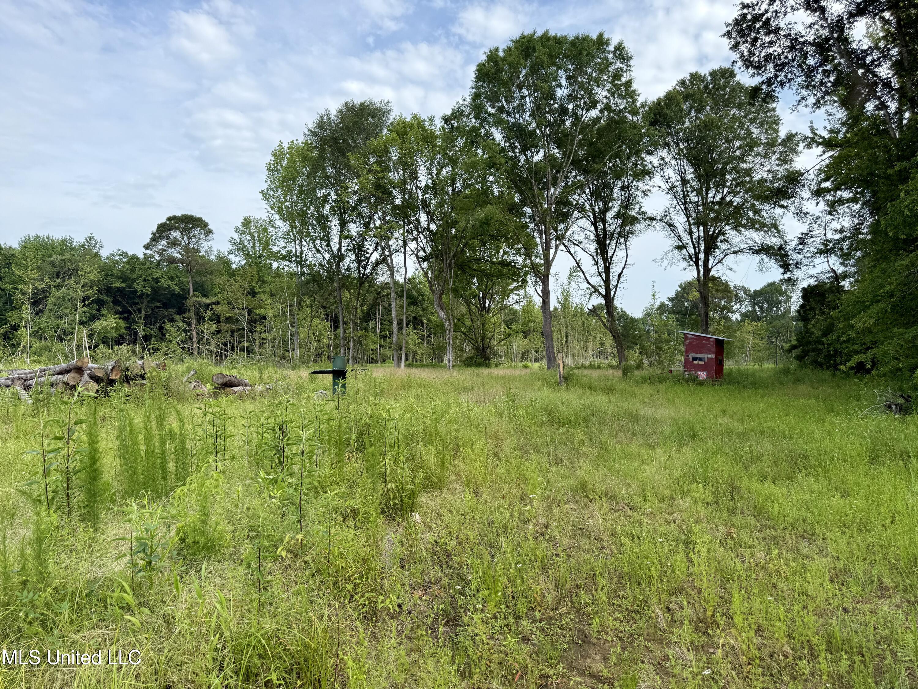 Comfort Road Kosciusko, MS 39090 - Photo 12 of 15 IMG_1035