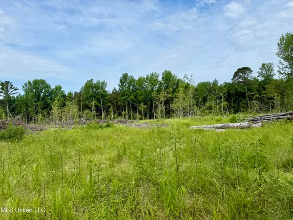 $106,000 | Comfort Road, Kosciusko, MS 39090