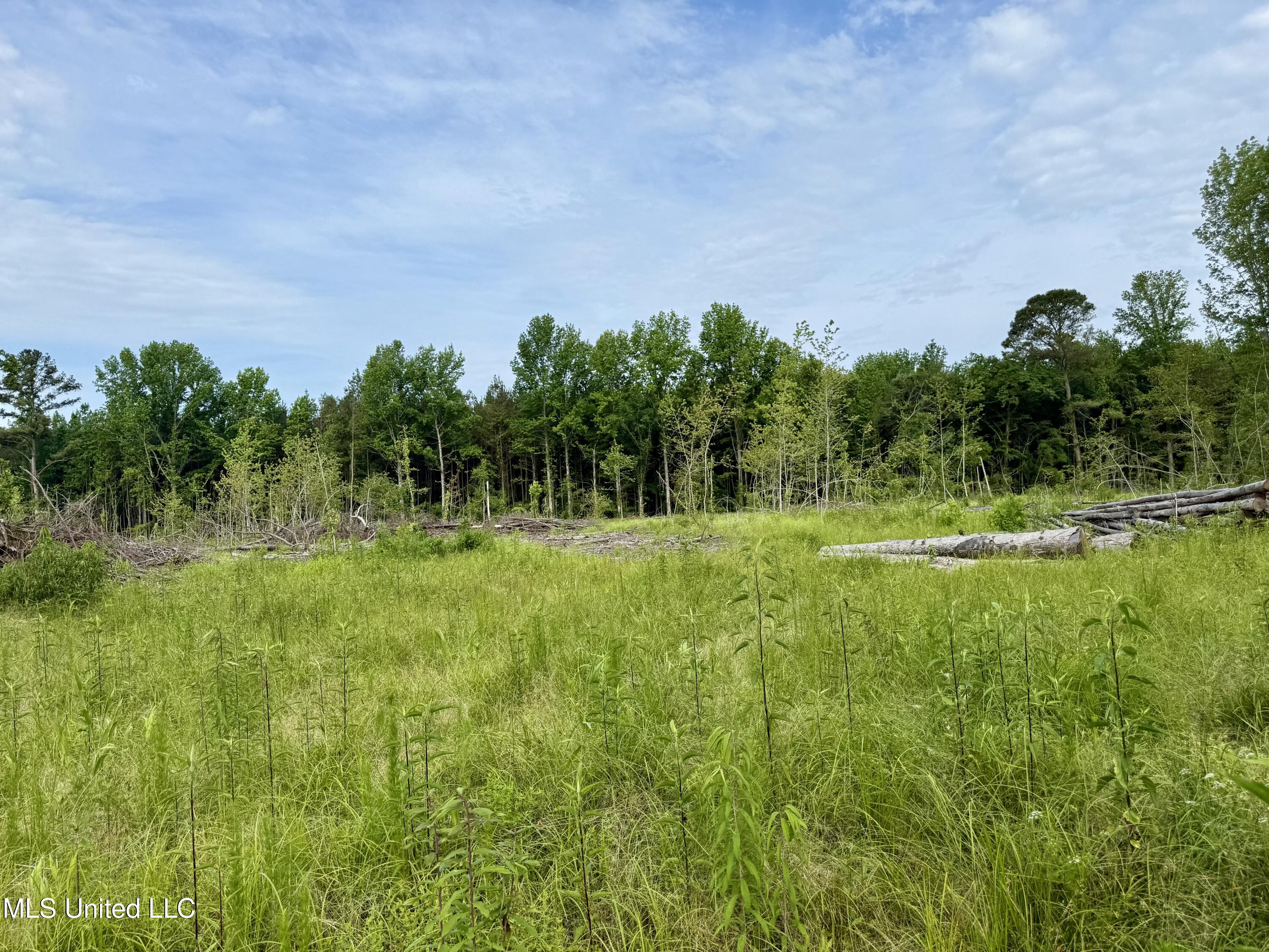 Comfort Road Kosciusko, MS 39090 - Photo 13 of 15 IMG_1036