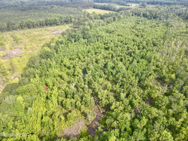 $106,000 | Comfort Road, Kosciusko, MS 39090