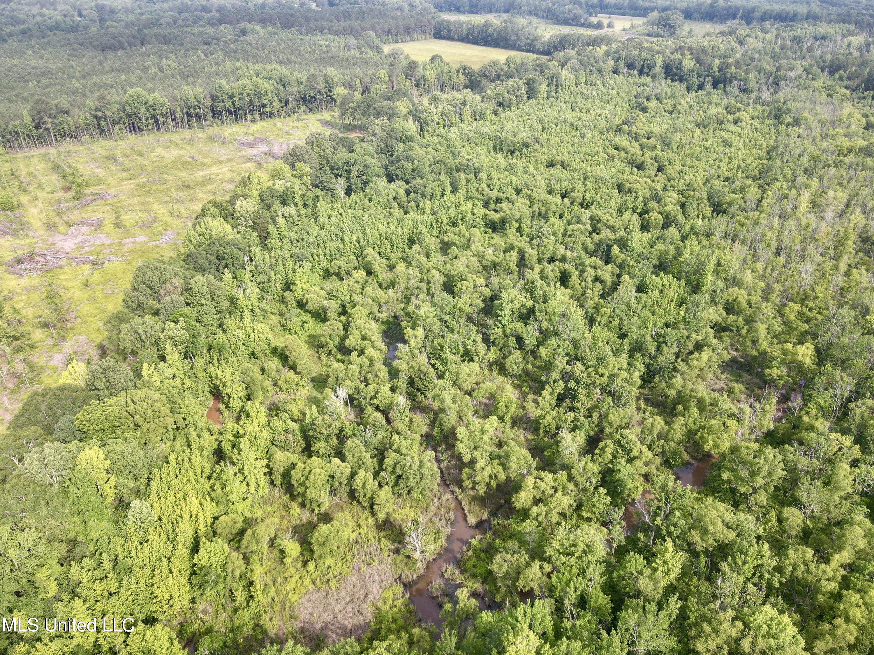 Comfort Road Kosciusko, MS 39090 - Photo 14 of 15 dji_fly_20250606_090526_365_174922325234