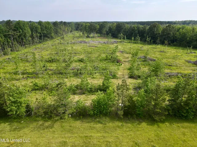 $106,000 | Comfort Road, Kosciusko, MS 39090