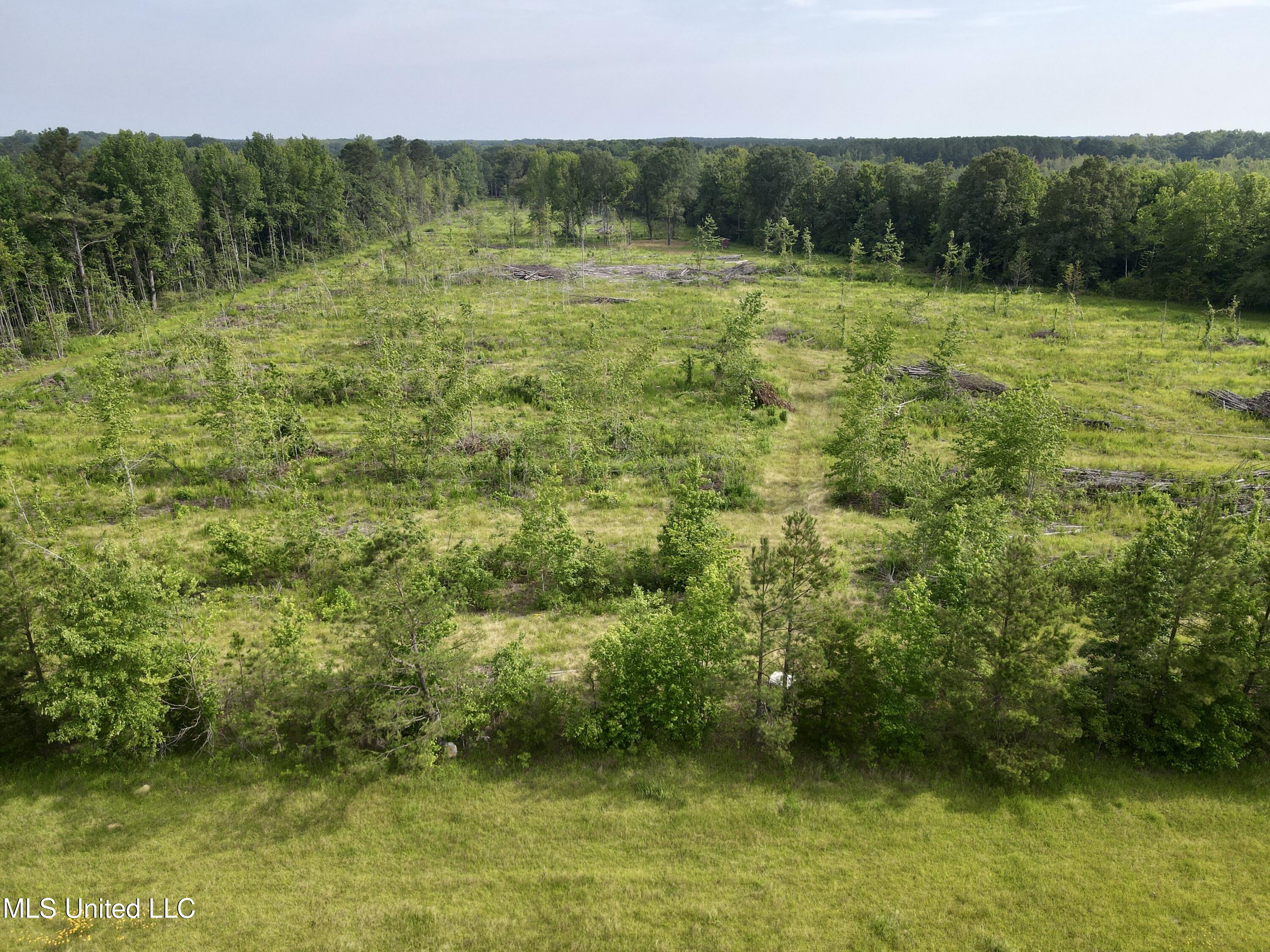 Comfort Road Kosciusko, MS 39090 - Photo 2 of 15 dji_fly_20250606_090800_367_174922324496