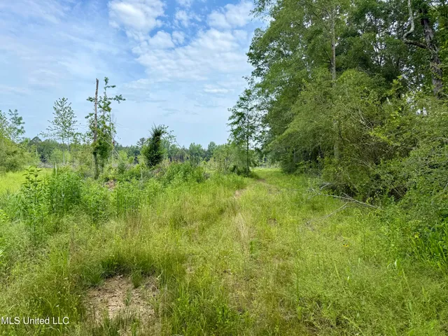 $106,000 | Comfort Road, Kosciusko, MS 39090