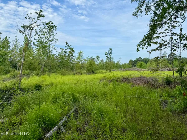 $106,000 | Comfort Road, Kosciusko, MS 39090