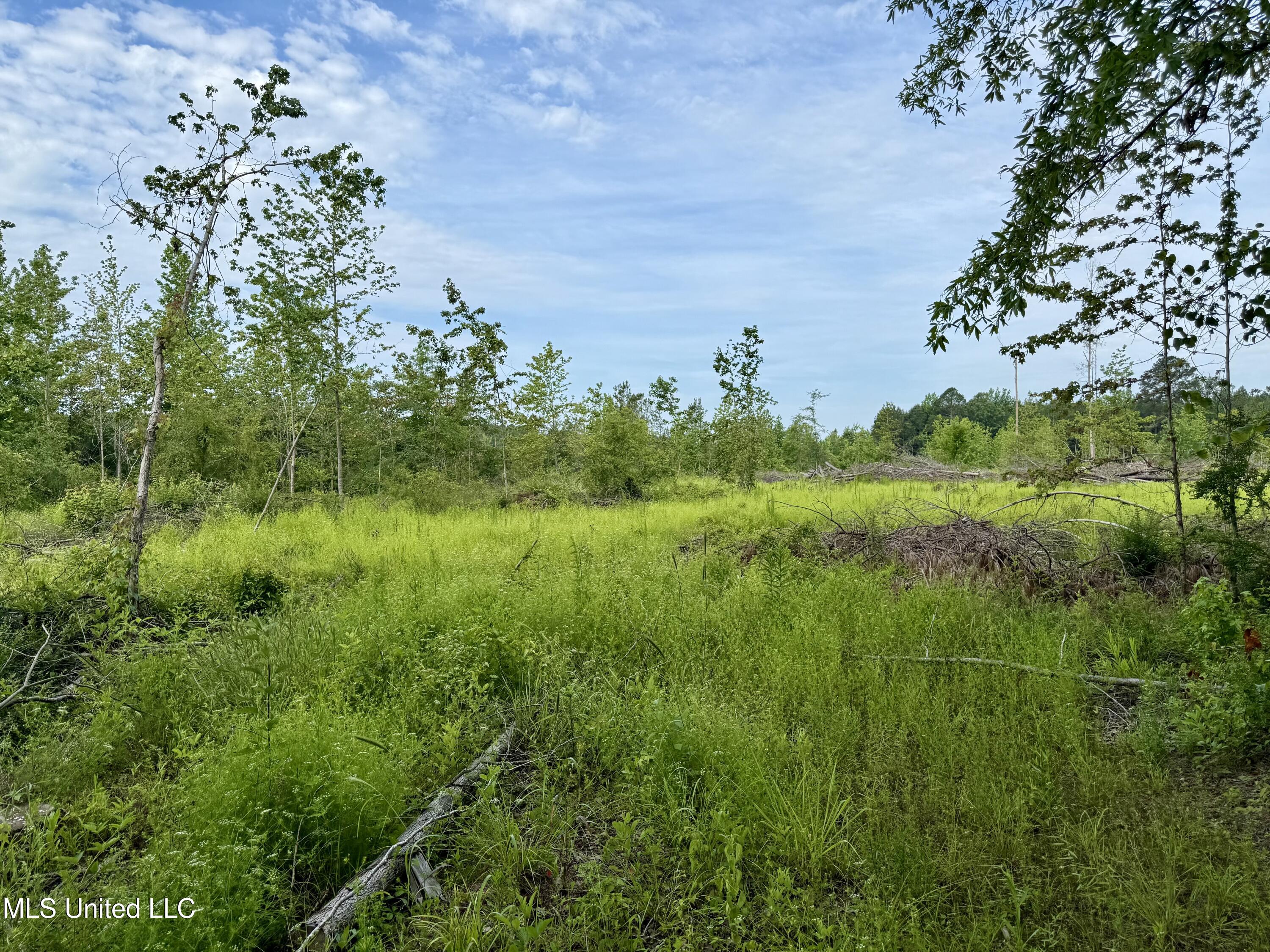 Comfort Road Kosciusko, MS 39090 - Photo 4 of 15 IMG_1027