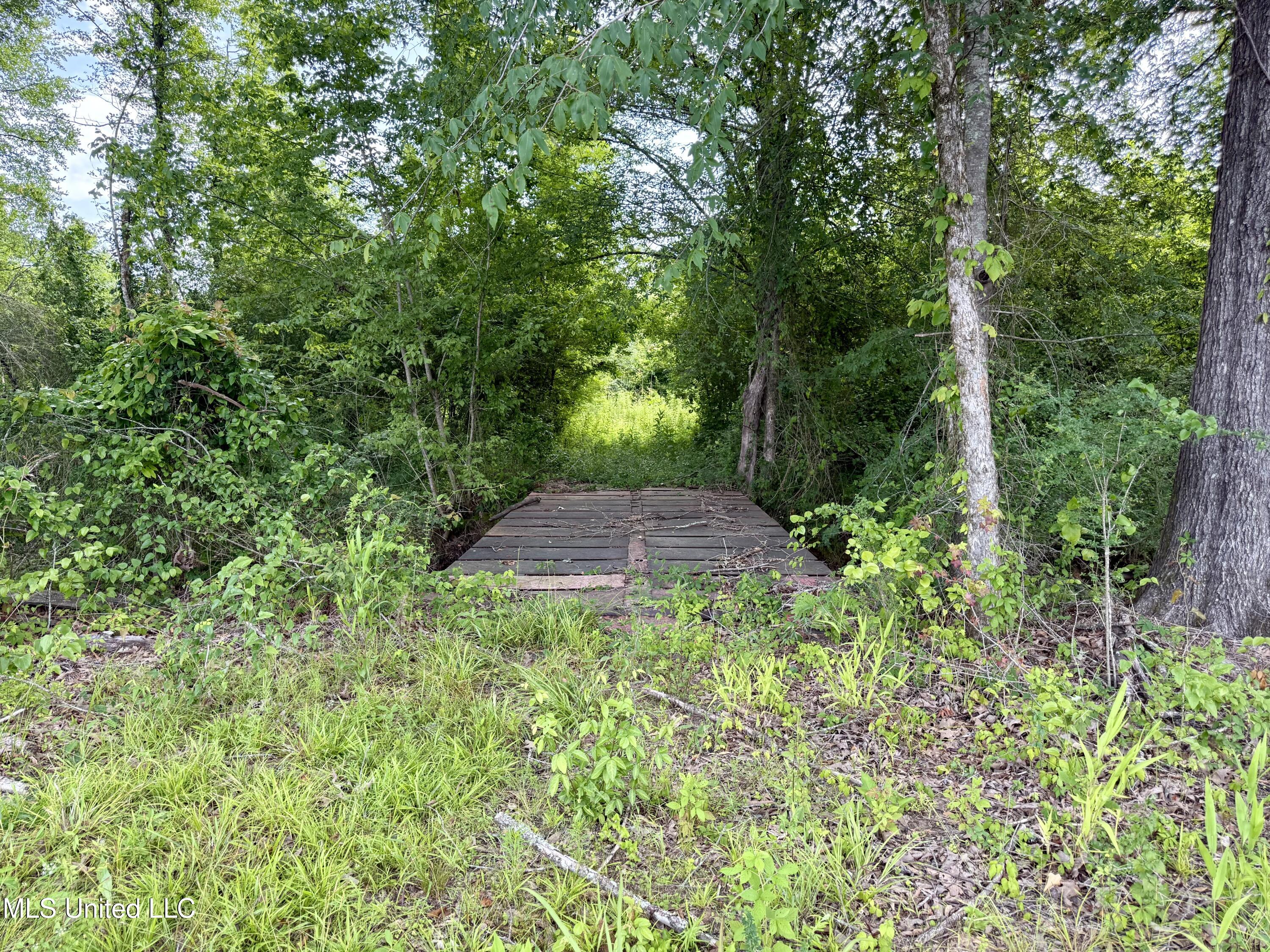 Comfort Road Kosciusko, MS 39090 - Photo 6 of 15 IMG_1029