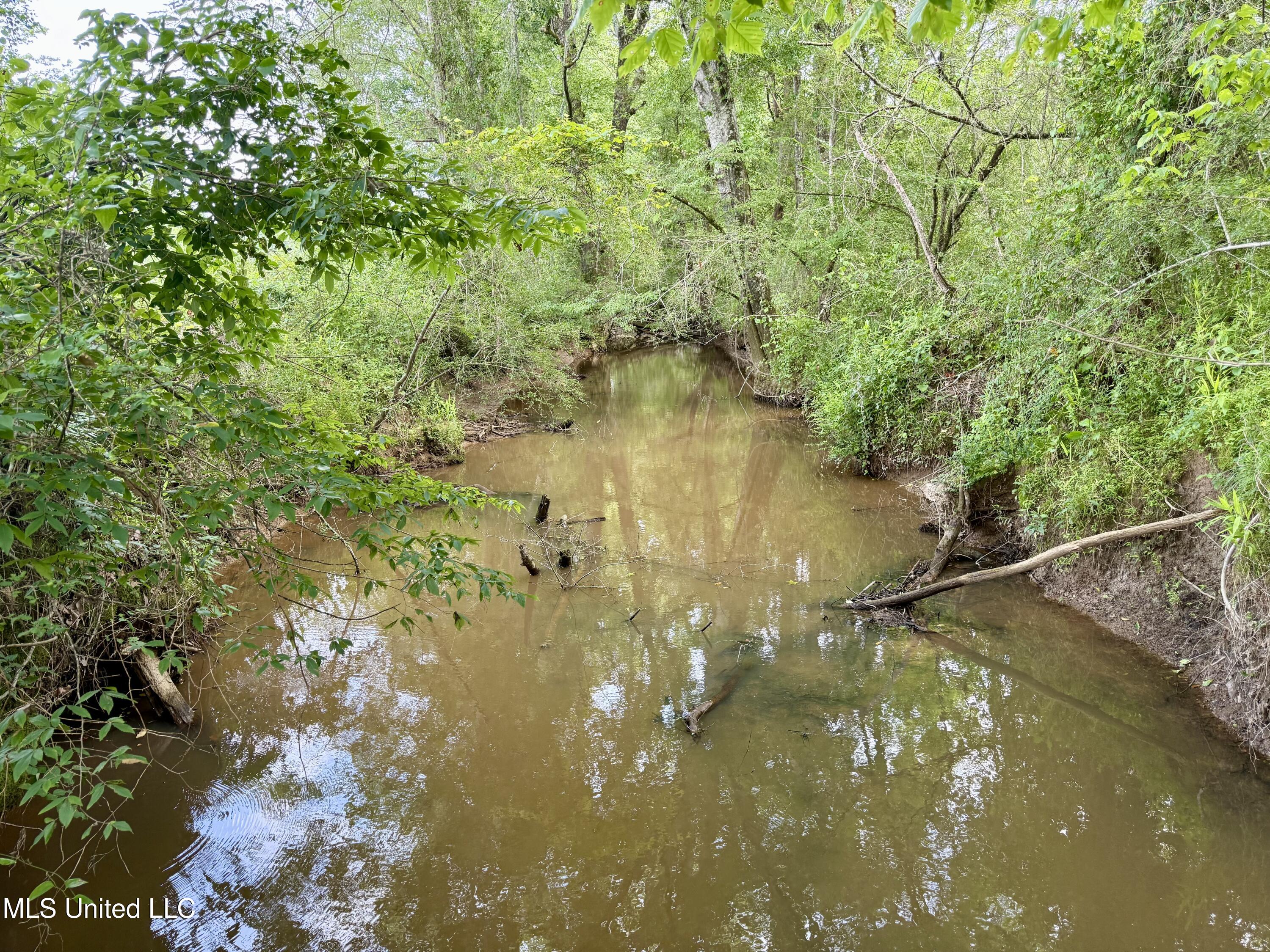 Comfort Road Kosciusko, MS 39090 - Photo 7 of 15 IMG_1031