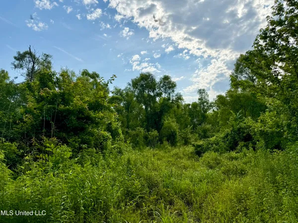 $106,000 | Comfort Road, Kosciusko, MS 39090