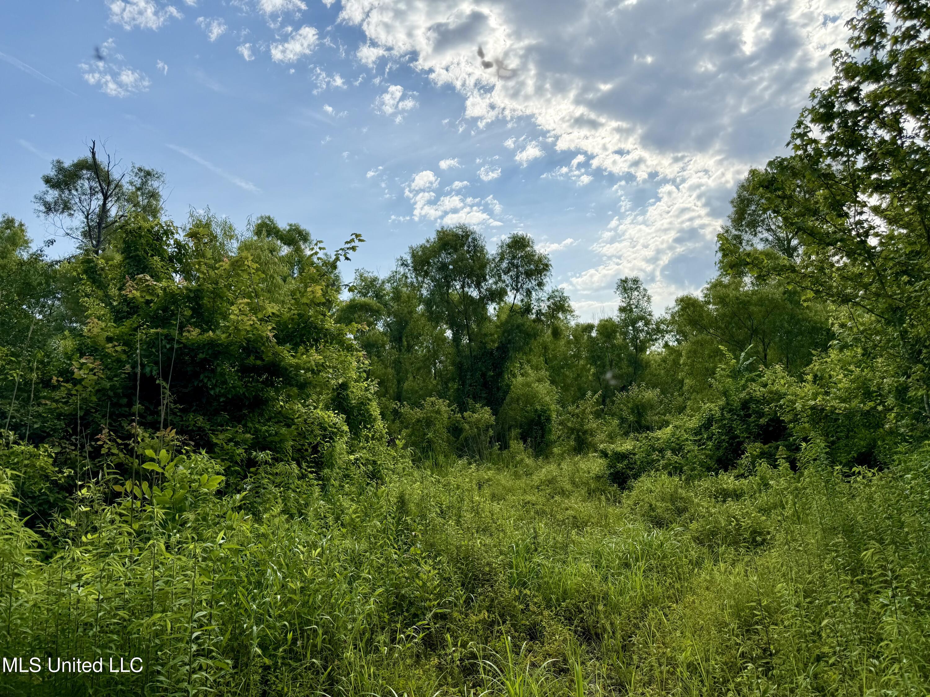 Comfort Road Kosciusko, MS 39090 - Photo 8 of 15 IMG_1032
