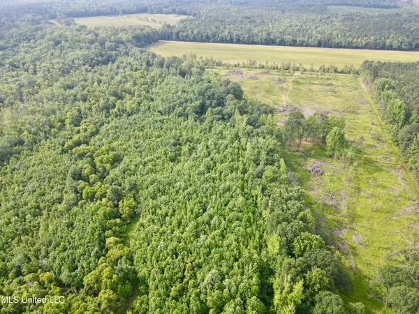 $106,000 | Comfort Road, Kosciusko, MS 39090