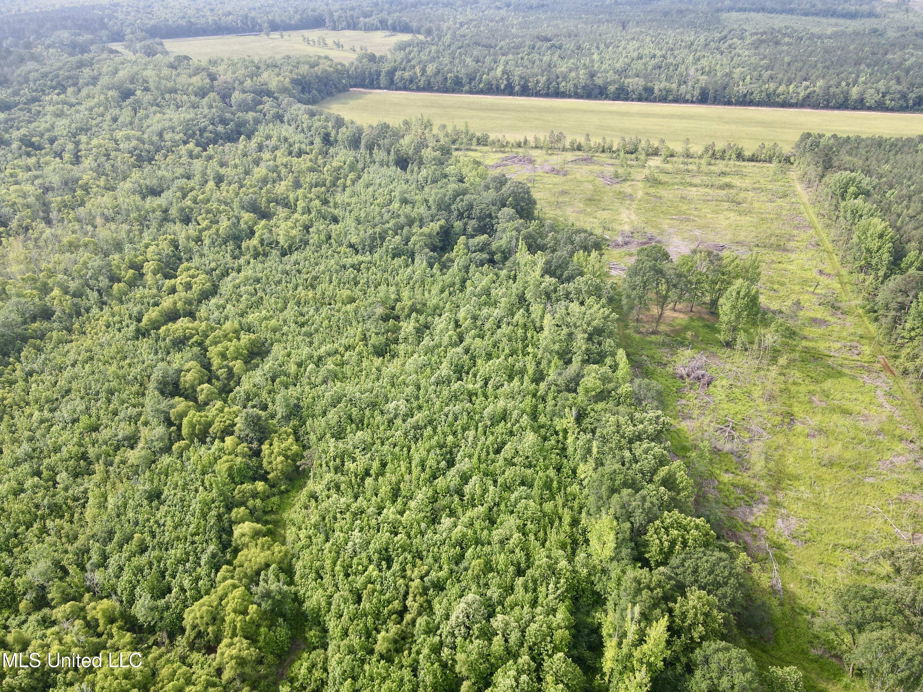 Comfort Road Kosciusko, MS 39090 - Photo 9 of 15 dji_fly_20250606_090654_366_174922324882