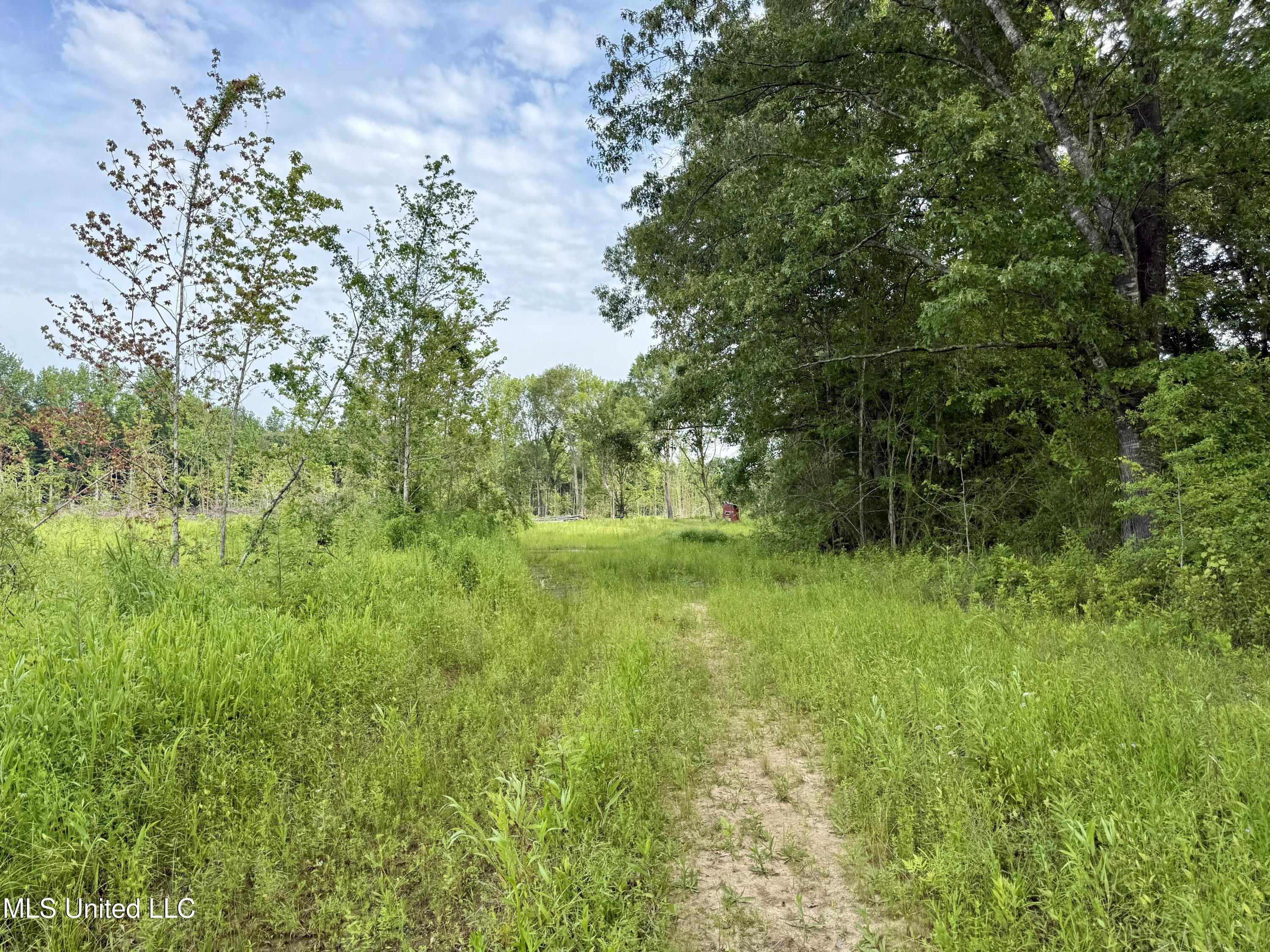 Comfort Road Kosciusko, MS 39090 - Photo 10 of 15 IMG_1033