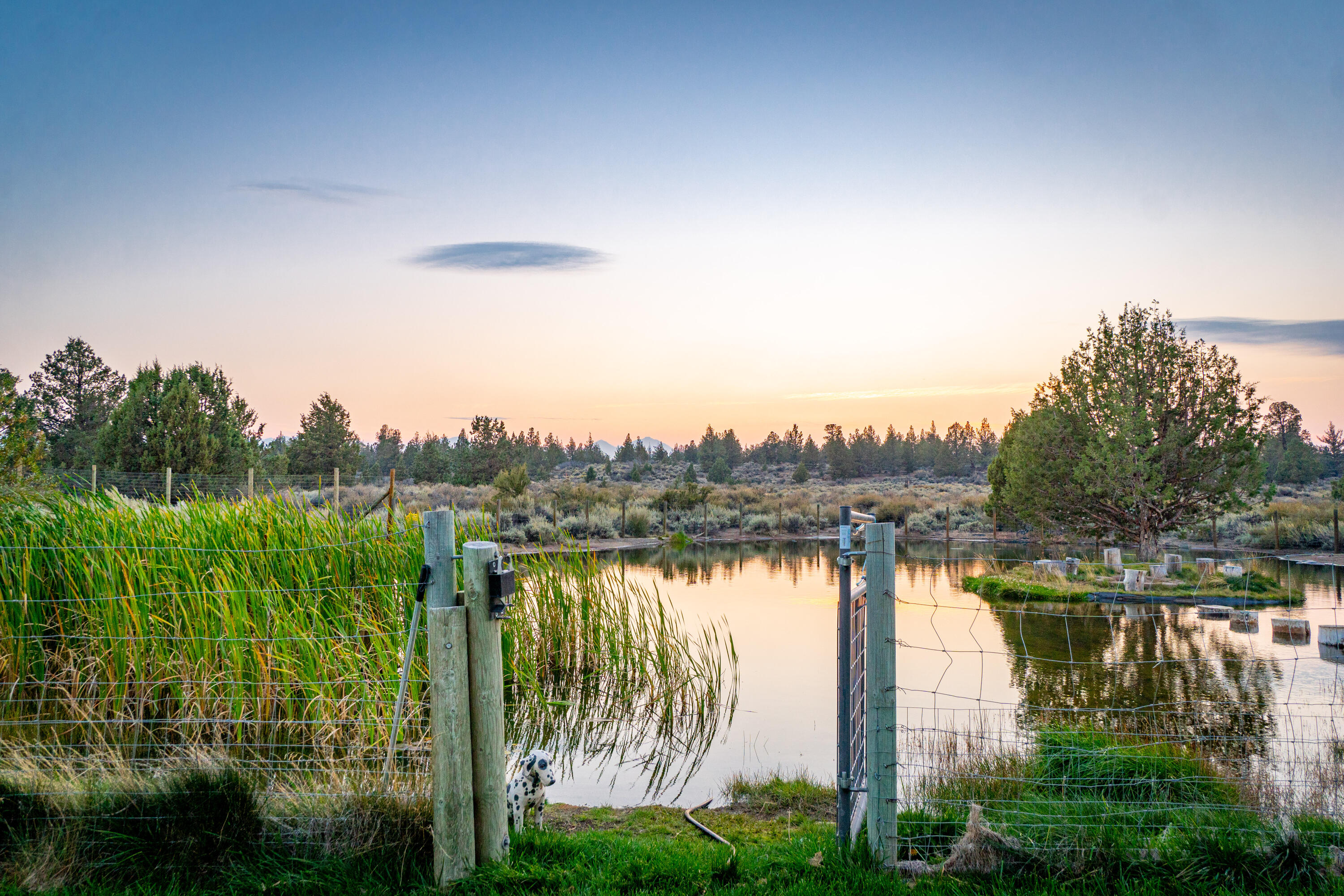 67395 Fryrear Road Bend, OR 97703 - Photo 32 of 71 31. Pond view from balcony
