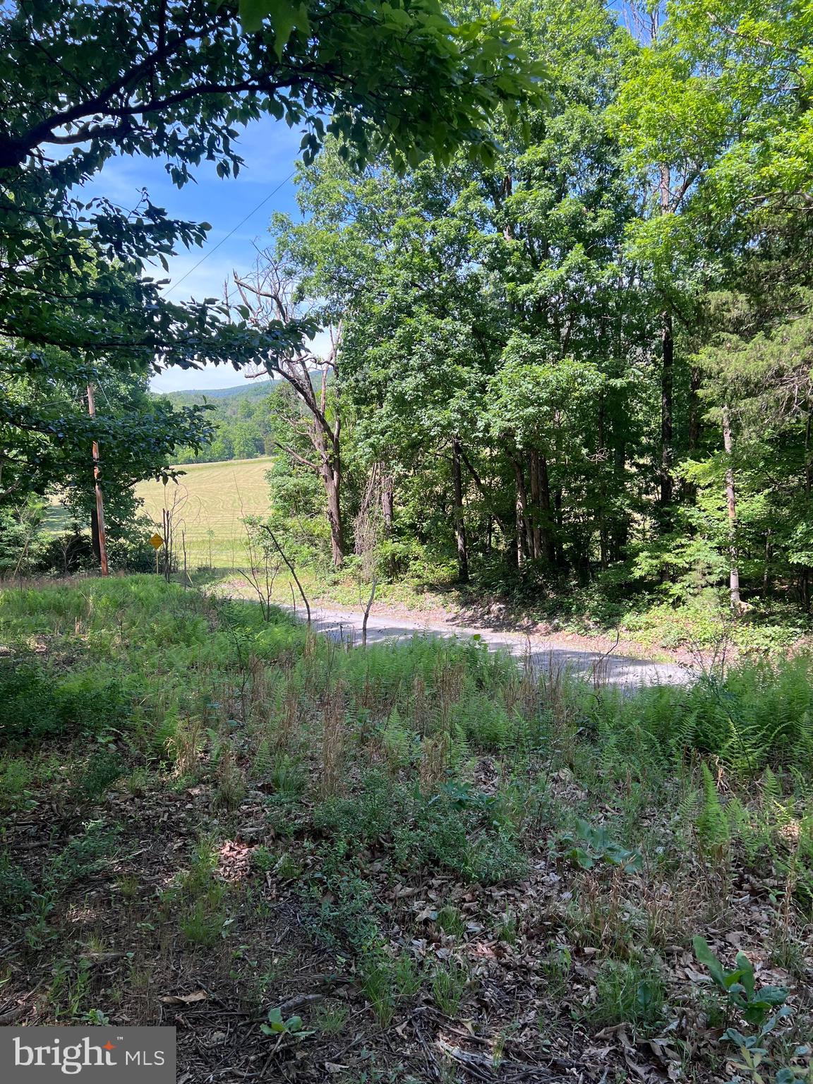 Tbd Brill Road Star Tannery, VA 22654 - Photo 5 of 13