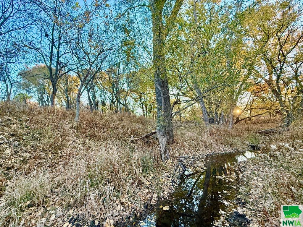 18485 Weber Road Westfield, IA 51062 - Photo 8 of 25 Gallery Image 8