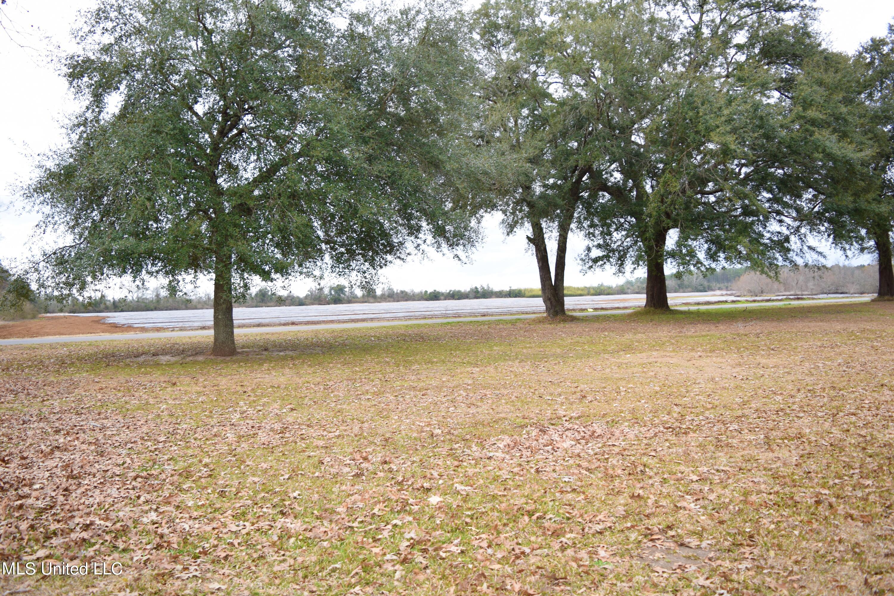 154 Don Barton Road Lucedale, MS 39452 - Photo 28 of 38 DSC_0902