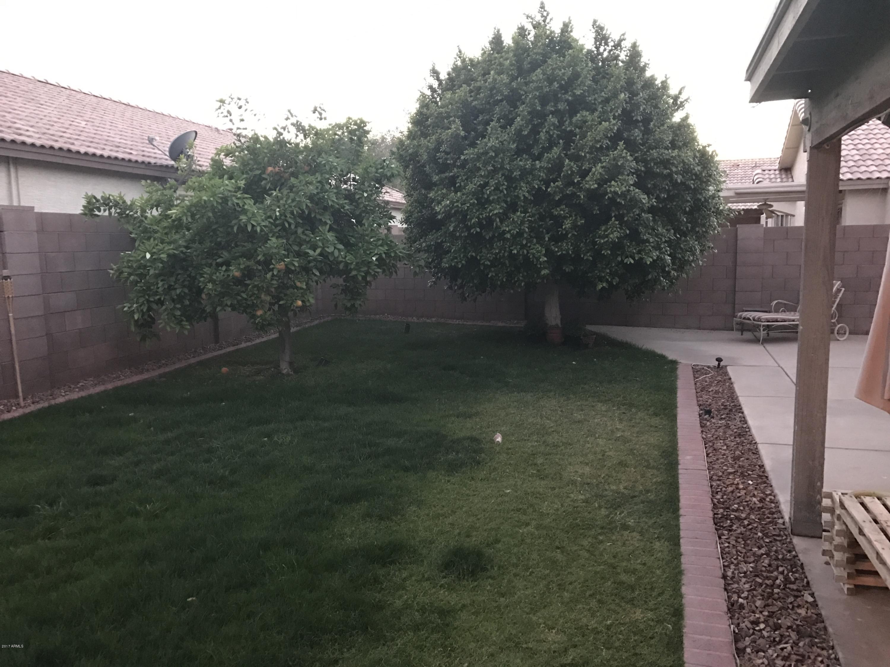 43 West Del Rio Street Gilbert, AZ 85233 - Photo 10 of 10 IMG_2433