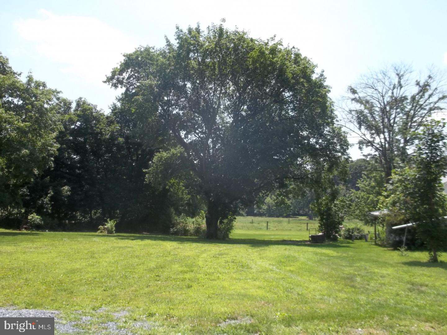 791 Frystown Road Myerstown, PA 17067 - Photo 5 of 17 Back Yard