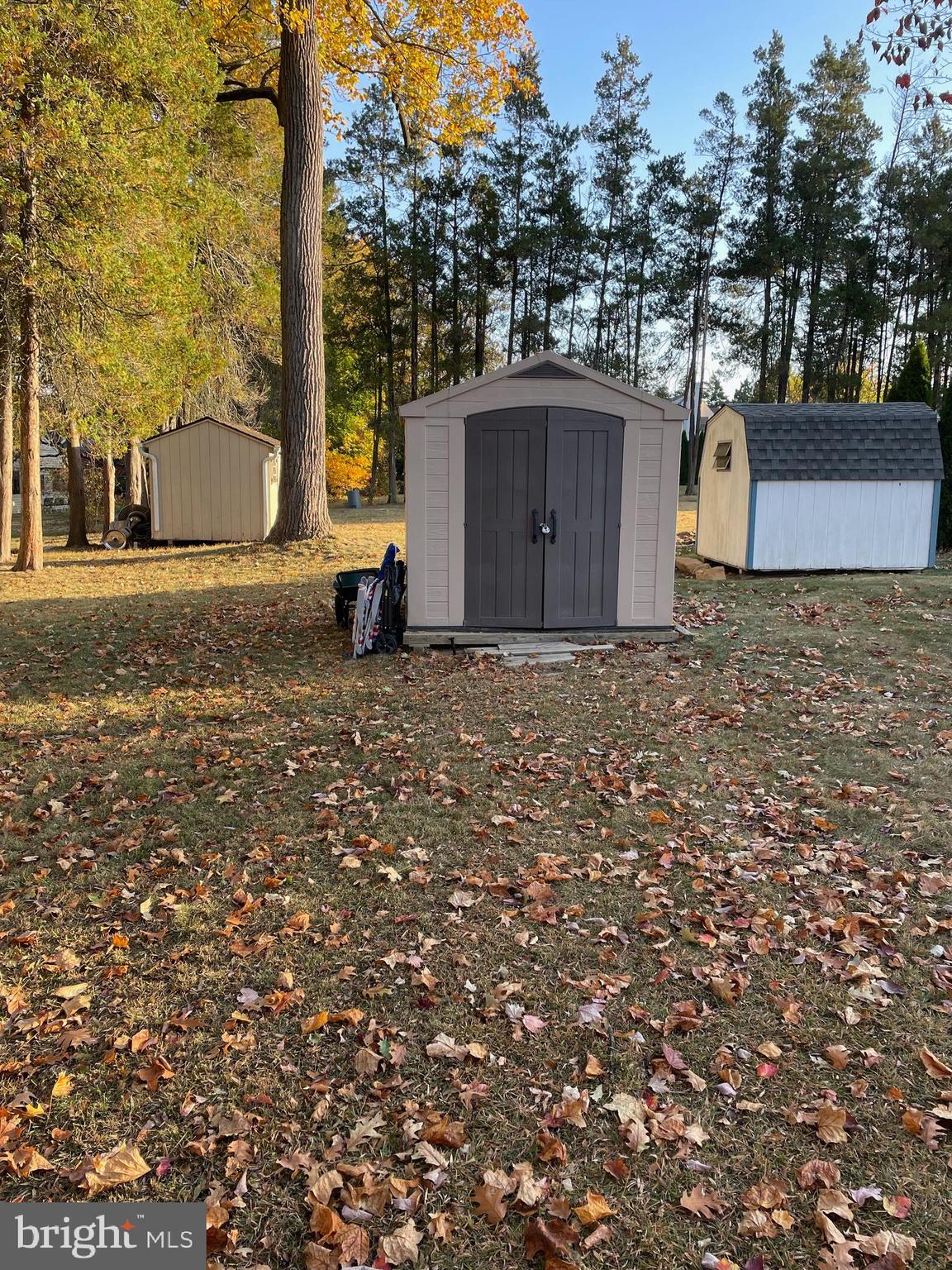 1801 North Hills Avenue Willow Grove, PA 19090 - Photo 20 of 20 a large tree in the middle of a yard