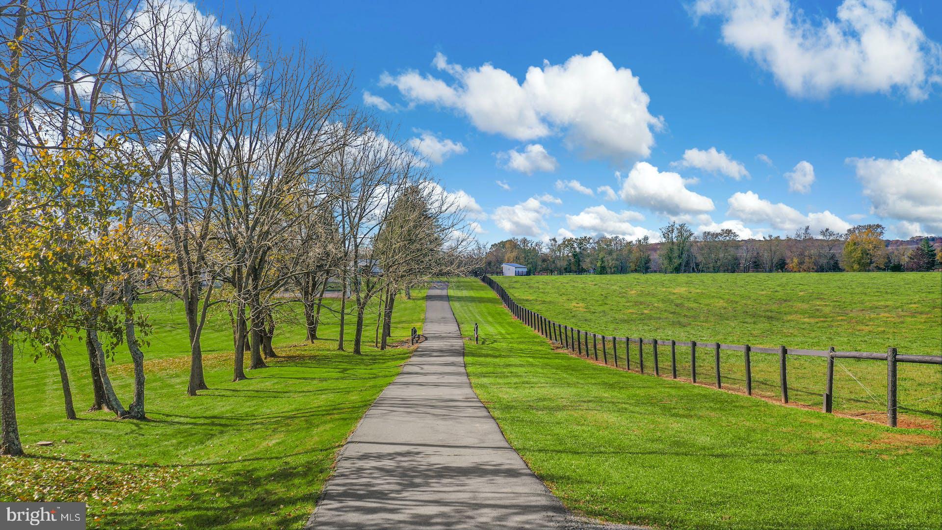 1315 Pineville Road New Hope, PA 18938 - Photo 6 of 58 Down a Long Driveway