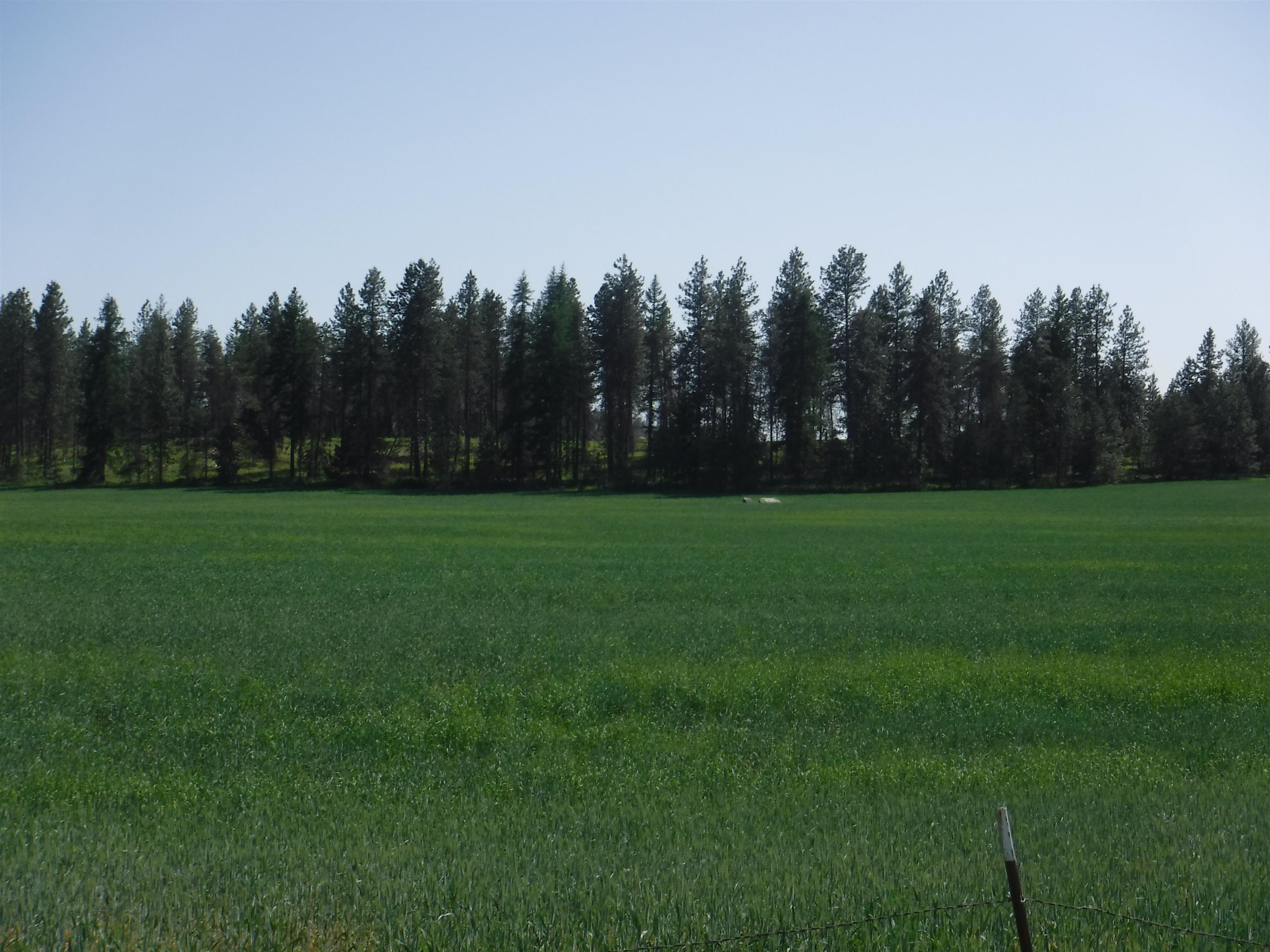 Lot B Staley Road Deer Park, WA 99006 - Photo 3 of 3 Gallery Image 3