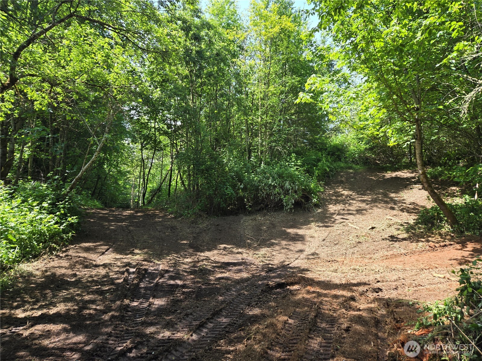 160-xx 193rd Avenue Southeast Renton, WA 98058 - Photo 12 of 29