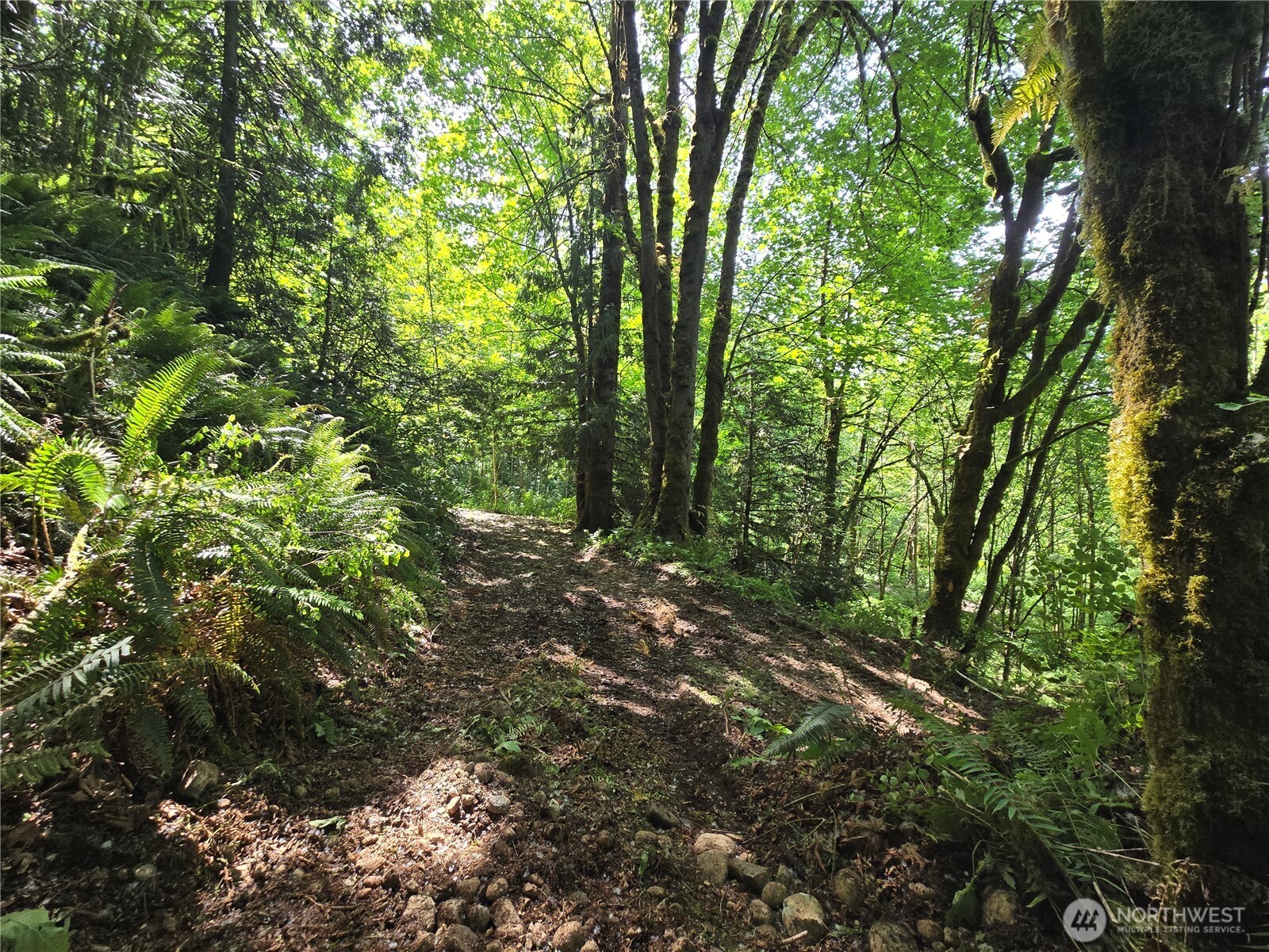160-xx 193rd Avenue Southeast Renton, WA 98058 - Photo 23 of 29